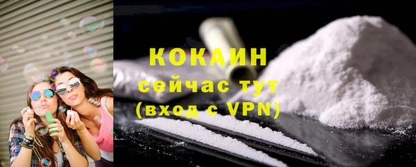шишки Бородино