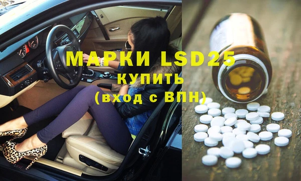 шишки Бородино