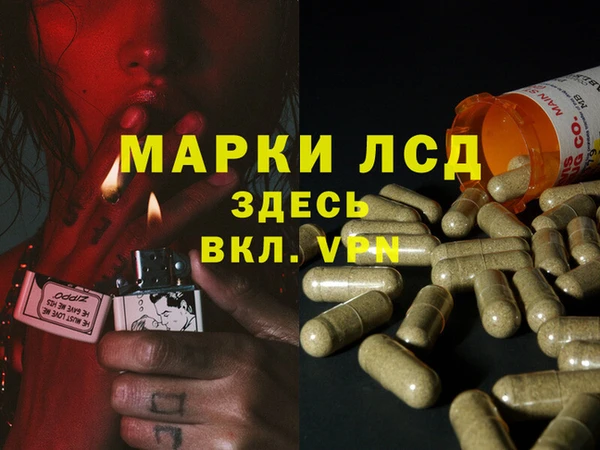шишки Бородино