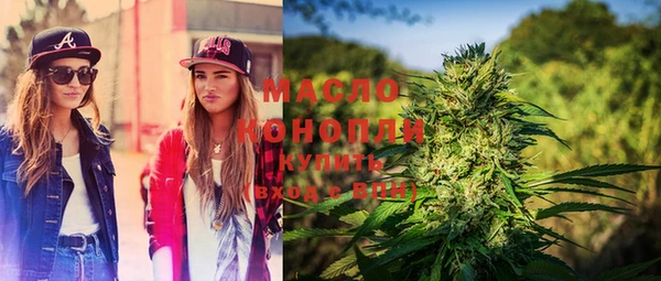 шишки Бородино