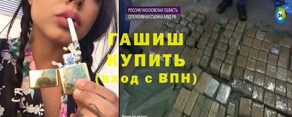 шишки Надым