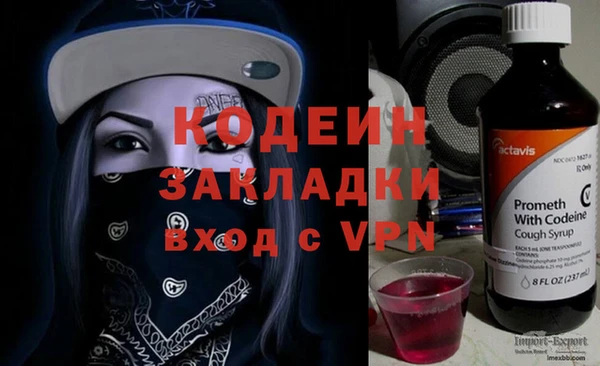 шишки Бородино