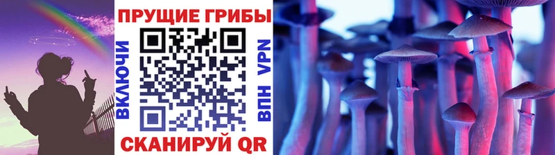 Галлюциногенные грибы MAGIC MUSHROOMS Кореновск
